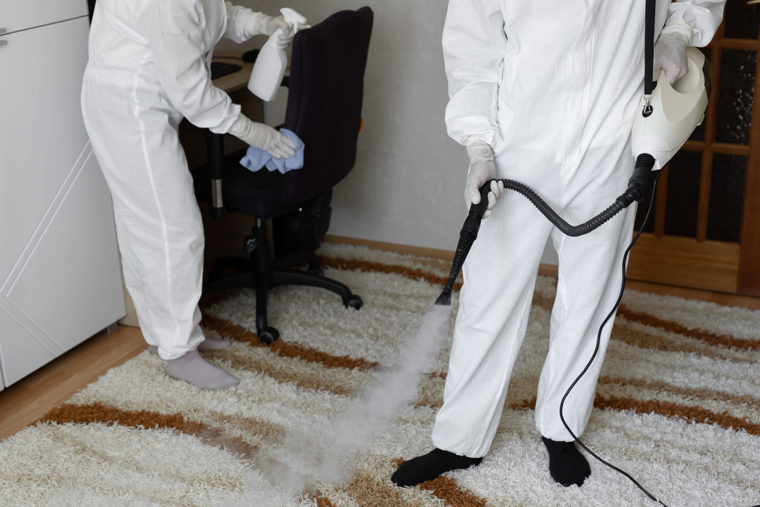 Protecting Your Rugs from Moth Damage