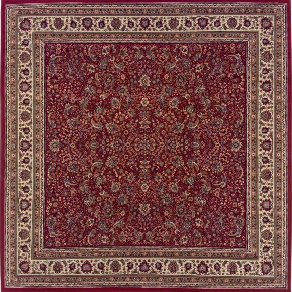 Ariana 113r - Image 6